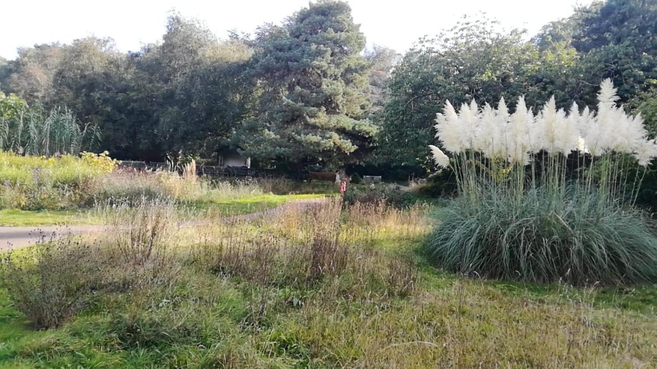 Many Worlds Meet - Eurostar, Wimbledon 30 Mins, Central London, Gatwick 15 Mins - Spacious, Sleeps Up To 16 Plus Cot - Free Wifi, Parking - Next To Lloyd Park, Great For Families, Walkers, Relocators - Ideal For Contractors Croydon Exterior photo