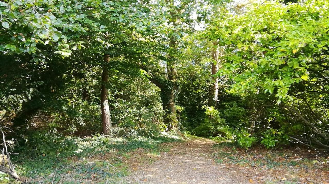 Many Worlds Meet - Eurostar, Wimbledon 30 Mins, Central London, Gatwick 15 Mins - Spacious, Sleeps Up To 16 Plus Cot - Free Wifi, Parking - Next To Lloyd Park, Great For Families, Walkers, Relocators - Ideal For Contractors Croydon Exterior photo